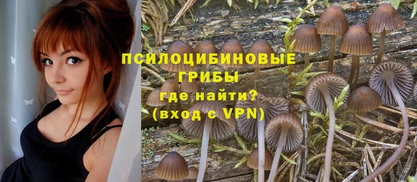 хмурый Алексин