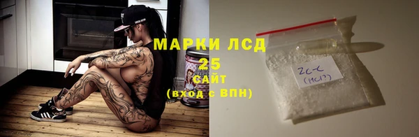 хмурый Алексин