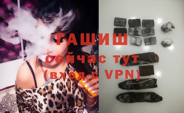 хмурый Алексин
