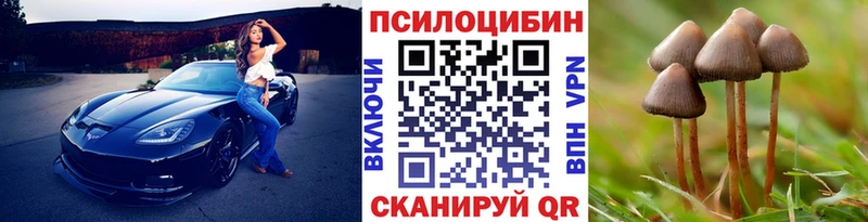 Галлюциногенные грибы GOLDEN TEACHER Фатеж